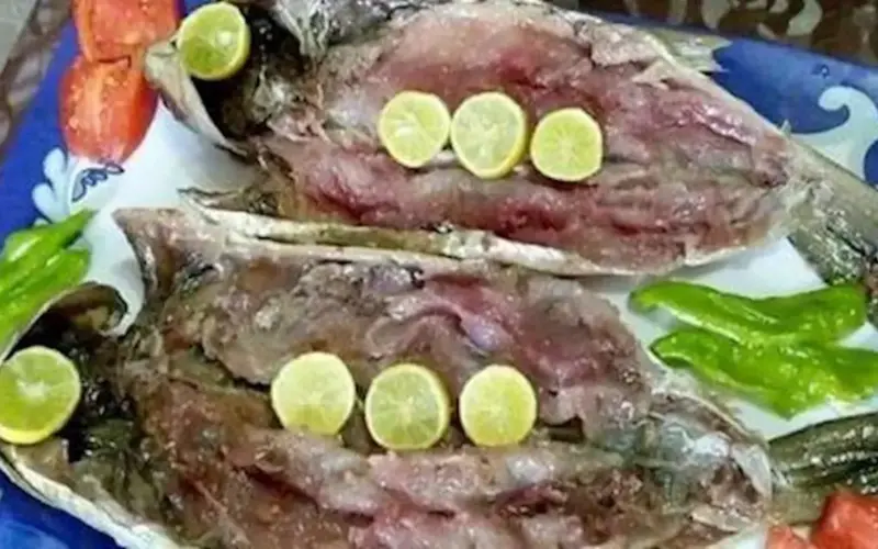 نصائح علمية لتناول الفسيخ والرنجة في عيد شم النسيم